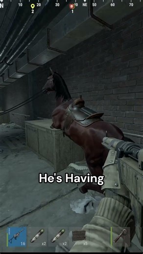 We Took a Horse into Tunnels in RUST 🐎🚇 #rust #gaming #rustclans #funny
