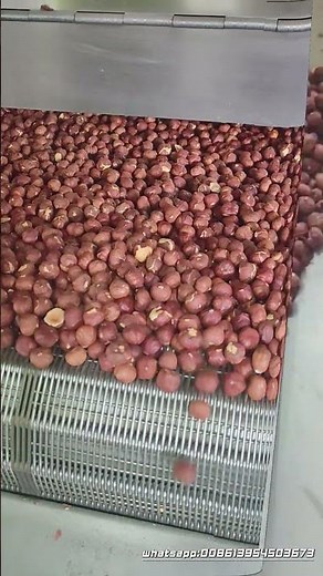 hazelnut roasting and blanching machine #foodmachinery #peanutmachine#hazelnutmachine