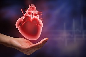 Heart murmur, an often innocent rustling sound: what it is | Emergency Live