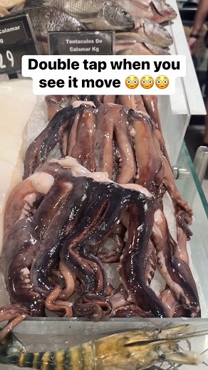 This is why I don't eat fish | Original Crafts & Hacks from The Daily Sprinkle