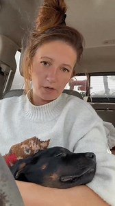 4.2K views · 235 reactions | "We need the internets help naming this poor little rescue, that’s had a hard start to life but will be spoiled rotten from now on" Via @TruthSeek01011 on X | Linda Traitz | Facebook