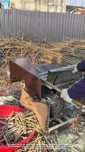 Automatic Plant Cutting Machine – 10x Faster Farming Process! 🌱⚙️#short