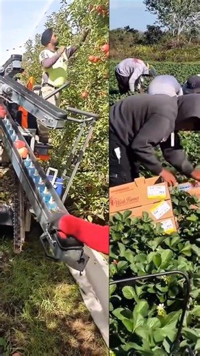 The richest country in the world 🇱🇺 | Mini Ac Enterprise