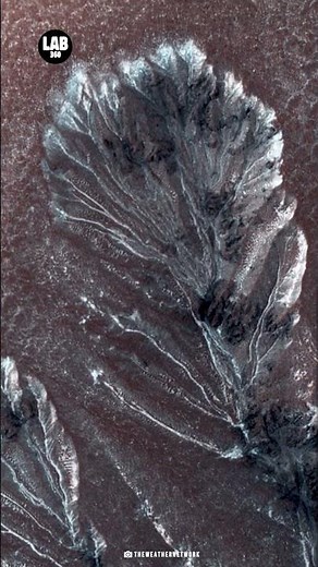 NASA Found Creepy Crawlers of Mars #lab360 #shorts #mars