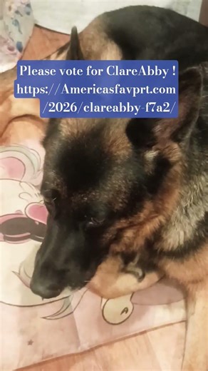 PLEASE need your vote 4 ClareAbby 2026 #clareabby https://Americasfavpet.com/2026/clareabby-f7a2/