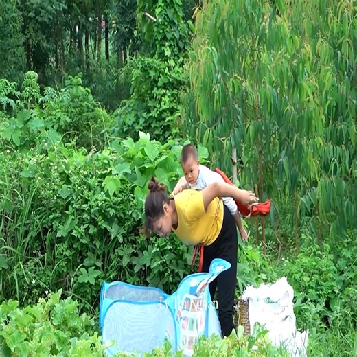 1.1M views · 10K reactions | The single mother build farm Raised two children alone, Harvest honeydew melon go market sell | Infoworld | Facebook