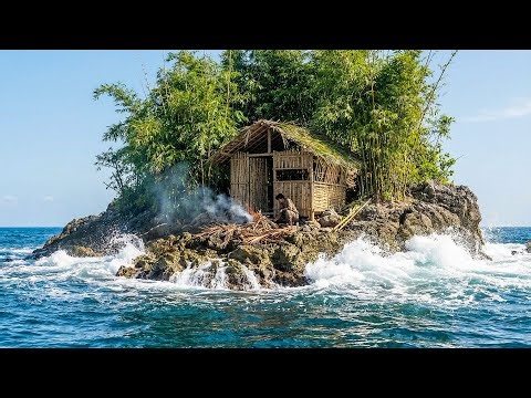 Building a Bamboo House on a Beautiful and Dangerous Remote Island in 100 Days Using Primitive Tools