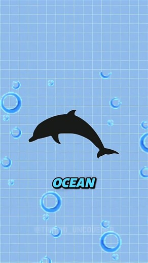 “Why Dolphins Are Ocean Geniuses 🧠🌊”