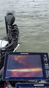 208K views · 790 reactions | The (Hummin)birds know where the fish are  #MEGALive  Bob Downey | #Humminbird #HumminbirdPro #Fishing | Humminbird | Facebook