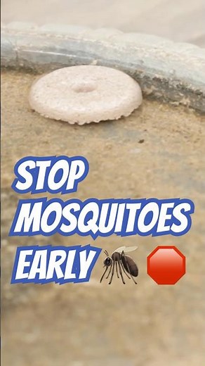 Stop Mosquitoes Before They Hatch | Where to Use Larvicides