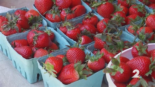 Troy preparing to welcome thousands during Strawberry Fest weekend