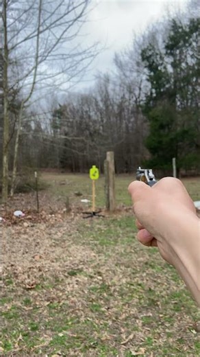 NAA 22 mag #foryou #shortsviral #viralshort #edc #airsoft #edcorganizer #airsoftcqb