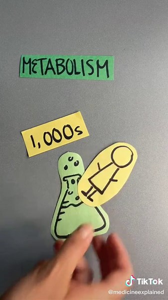we’re doing a whole series on metabolism. more videos on our page. #medicineexplained #learnontiktok #tiktokpartner
