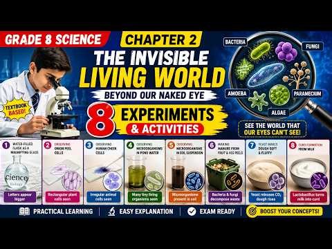 Grade 8 Science | Chapter 2 The Invisible Living World: Textbook-Based Experiments and Activities