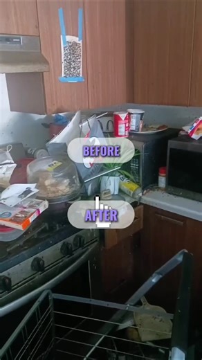 Kitchen Transformation! Before & After Deep Cleaning in Dublin Homes by Leblanc Meridian LTD