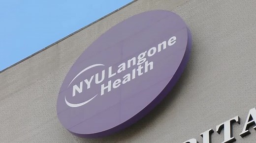 U.S. surgeons successfully test pig kidney transplant in human patient