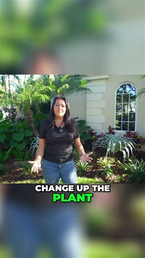 Discover the Key to an Amazing Garden: Perfect Sun and Shade Balance! #shorts