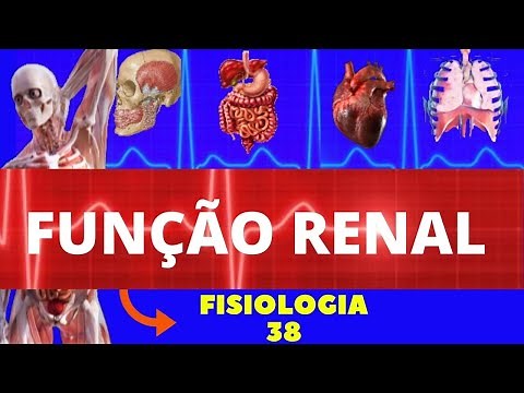 RENAL FUNCTION (GLOMERULAR FILTRATION) - HUMAN PHYSIOLOGY - ENDOCRINE PHYSIOLOGY - GUYTON'S PHYSI...