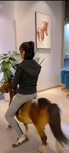 Lovely girl riding a pony live #pony #ponyracing