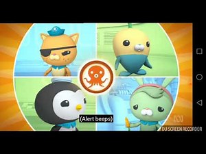 Octonauts And the pelicans