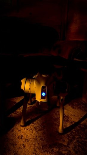 Robotic Pets In The Future… #technology #robotdog #robotics #fyp