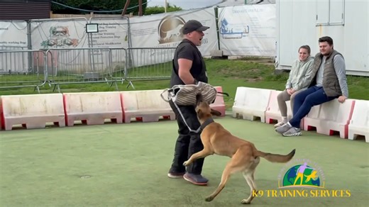 1.9K views · 20 reactions | Woman’s clothes ripped off by dog WARNING VIEWER DISCRETION ADVISED ⛔️⛔️⛔️⛔️ | K9 Training Services: Dog Training Centre of Excellence | Facebook
