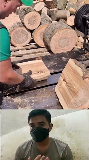Log Splitter Power ⚙️ | Turning Trees into Firewood in Seconds