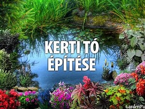 Kerti tó építése - kertépítési tanácsok, Budapest