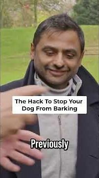 How To Stop Your Dog From Barking | Dogs Behaving Very Badly