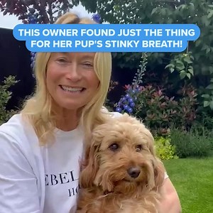 This owner found the perfect thing for her pups stinky breath and tartar build up! It's all thanks to PetLab Co's effective Dental Formula - Just take a look for yourself below 😄 | PetLab Co.