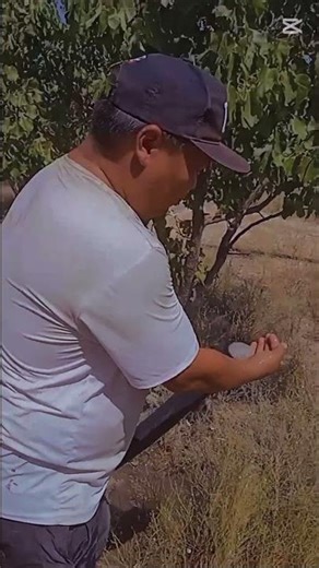 Water pumps without electricity or fuel operate under the pressure of the water itself for life