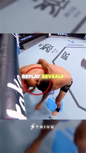 One Of The Strangest UFC Moments Ever 😳