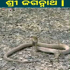 83K views · 3.1K reactions | Shree Jagannath Episode 17 || ଏପିକ୍ କାହାଣୀ | ଓଡିଆ ଭକ୍ତ #jagarnath #episode #bhagti #katha #viralreelsfb #newepisode #trend | Lokdhun Odia | Facebook