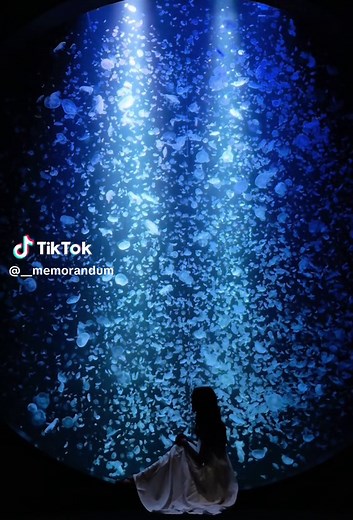海月になりたい！キレイなクラゲの水族館