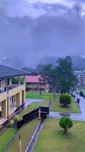 මීදුමෙන් පිරුණු ඌවට යන්න කැමති නැද්ද 😌❤️