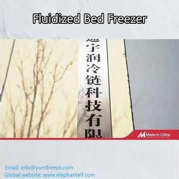 IQF Tunnel Fluidized Bed Freezer
