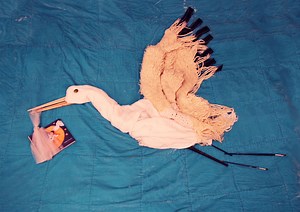 Карта У — 34 — 37 (снов).rar