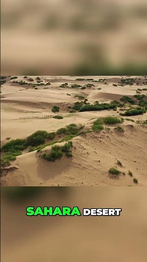 Ancient Sahara: How Nomads Shaped African Empires