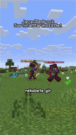 Looking for a Minecraft Survival Server? COME JOIN US!
