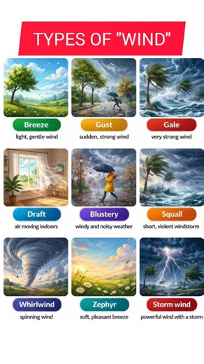 TYPES OF "WIND" 🔥✅ #english #education #vocabulary #wind #easyenglisheveryday