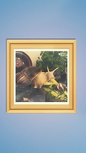 3.4K views · 69 reactions | Is my pet Gary the snail happy?  #ThePetPsychic #PetPsychic #GaryTheSnail #petsofinstagram | The Pet Psychic | Facebook