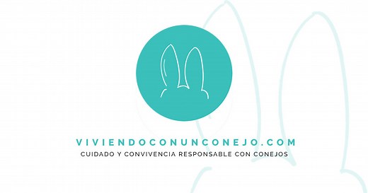 Anatomía: boca y dientes del conejo | Viviendo con un conejo