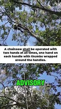 Chainsaw Safety Explained