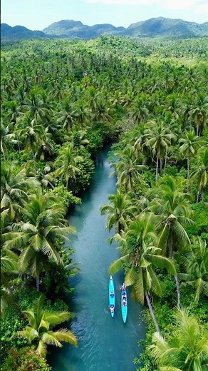 Siargao, Philippines - Maasin River! 🇵🇭 #philippinestravel #philippines #siargao #siargaoisland