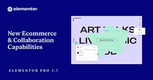 Elementor Pro 3.7: New Stripe Button Widget, 100  Dynamic Tag Fields, Notes, and More
