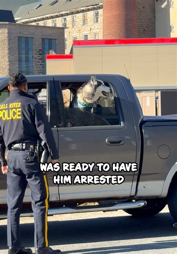 Husky Blames the Cop for Ruining His Day 😂 🎥: @Granite #CopHumor #Police #Comedy #Cute #Reels