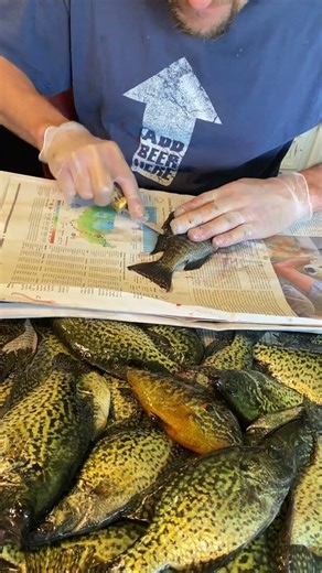 The Fast Fillet in Michigan