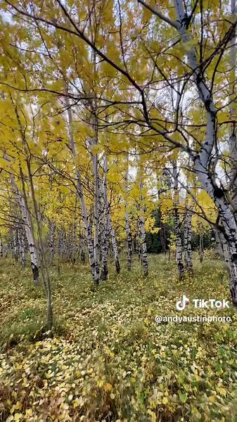 Exploring the Black Hills of South Dakota: A Fall Adventure in Rapid City