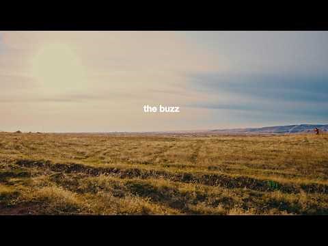 Good Neighbours - The Buzz (Lyric Video)