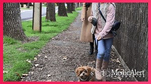 Sophia became a MedicAlert member at the age of 1 after experiencing...